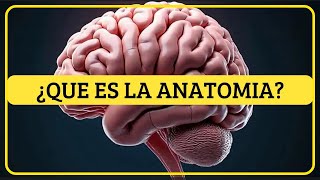 Qué es la Anatomía y sus Principales Divisiones anatomia [upl. by Goldia]