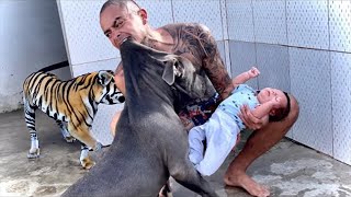 20 Parents Who Saved Their Children From Aggressive Animals [upl. by Barret]