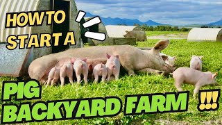 HOW TO START PIG FARMING FOR BEGINNERS  TIPS IN RAISING PIGS [upl. by Akiras]