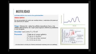 Fisiología II C2 Fisiología Digestiva  Parte II Motilidad Propulsión y Mezcla del Tubo Digestivo [upl. by Ashok]