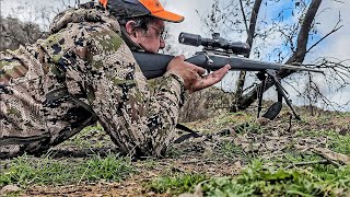 September Deer Hunt With A 300 WIN MAG [upl. by Llener402]