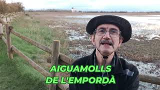 Els Aiguamolls de lEmporda [upl. by Boote]