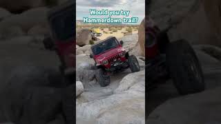 Does hammer down trail look like fun to you premierwestgears freedomropes gluetread [upl. by Atillertse]