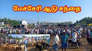 Mecheri goat market மேச்சேரி கருப்பு ஆடு  Wednesday market சந்தை நிலவரம் [upl. by Alia]