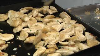 Pierogi Fest offers unique offerings at Delaware Park [upl. by Merrile]