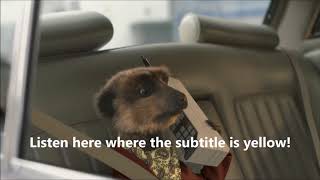 Meerkats advert Coronation Street [upl. by Marinna]