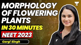 Morphology of Flowering Plants in 30 Minutes with Tricks  16 marks पक्के  NEET 2023  Gargi Singh [upl. by Ahtelahs]