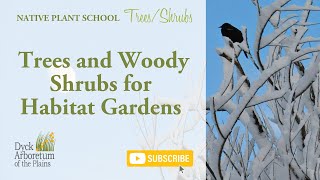 Trees and Woody Shrubs for Habitat Gardens with Scott Vogt [upl. by Shakti]