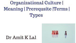 Organisational Culture  Meaning  Prerequisite  Terms  Types [upl. by Nnylaehs]