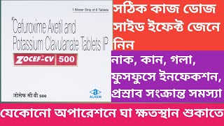 Zocef Cv 500 Tablet  Zocef Cv 500  Use  Dose  Review  Side effects In Bengali [upl. by Vince859]