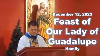 Feast of Our Lady of Guadalupe – Homily  December 12 2023 [upl. by Aratal135]