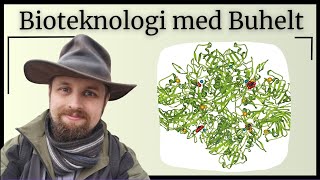 Bioteknologi  Proteiner og enzymer [upl. by Ydospahr608]