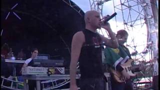 Infected Mushroom Live in Rio  I Wish [upl. by Dutchman161]