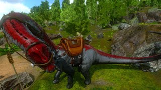 BEAUTIFUL BRONTO TAMEDS3 Ep23 [upl. by Pry]