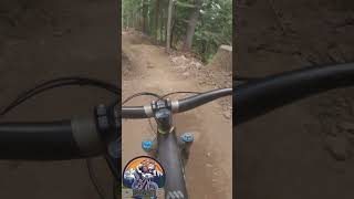 Silver Fir DH Washingtons version of Whistler DH mtb mountainbiketrails pnwmtb mountainbiking [upl. by Gingras799]