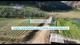 Bioseguridad en Fiebre Aftosa versión en español [upl. by Schild754]