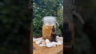 Birch Polypore Tincture Recipe🍄 forager foraging wildfood mushroom mushrooms tincturemaking [upl. by Akcired297]