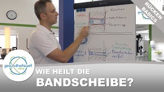 Die Bandscheibe Wie sollte ich nach einem Bandscheibenvorfall trainieren RückenBasics [upl. by Markman]