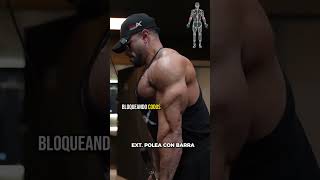 RUTINA DE BRAZOS COMPLETA  ABS✍ tips fitness motivation gym [upl. by Vharat]