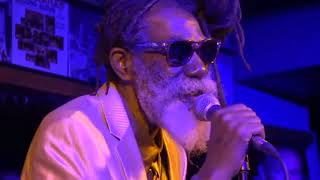 Don Carlos  harvest time  live at Reel Fish Shop 2018 [upl. by Bertina]