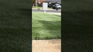 landscape artificialturf grass turf [upl. by Stultz]