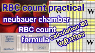 RBC count by neubauer chamber calculation formula [upl. by Akeirahs]