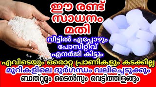 ഇങ്ങനെ ചില ടിപ്സുകൾ ഇതാദ്യം  രണ്ടേ രണ്ട് സാധനങ്ങൾ കൊണ്ട് ഒരു പിടി സൂത്രങ്ങൾ Salt and Camphor Tips [upl. by Annavaig]