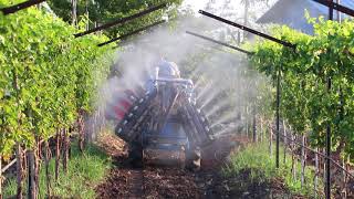 Spraying on Grapes [upl. by Atalanti818]