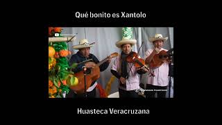 Así disfrutamos Xantolo en la Huasteca Veracruzana [upl. by Mastic683]