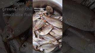 Simple Bengali maya fish masala  tasty bengali fish fry  bengalivlog food bengalifishrecipes [upl. by Atonsah]