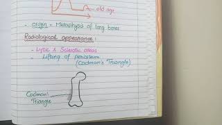 Osteosarcoma Pathology [upl. by Farly445]