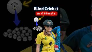 Blind Cricket cricket cricketshorts Cricket Highlights [upl. by Etoile93]