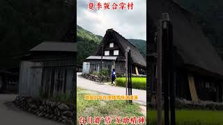 夏季版白川鄉合掌村！世界文化遺產探索 travel 合掌村 合掌造り [upl. by Katina]