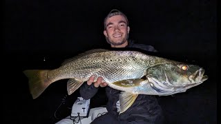 Catching Jewfish on the Hawkesbury River  Insane Action [upl. by Jocelyn]