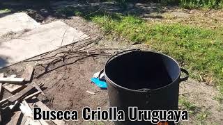 Buseca Criolla Uruguaya [upl. by Nortad658]