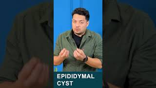 what is epididymal cyst varicocele epididymalcyst himanshudhawan maleinfertility shorts [upl. by Toy157]