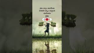 Telugu Quotations ✨💯 shortsfeed quotes teluguquots [upl. by Anigal]