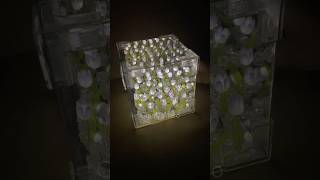 DIY lampu tidur aesthetic tulip [upl. by Irtimid158]