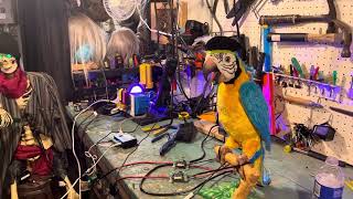 Squawkers Mccaw Parrot Hack Pirate Halloween 2023 [upl. by Nommad]