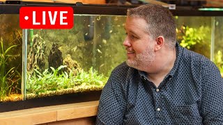 10 Gallon Tanks Amazing  Here are my reasons Live Stream [upl. by Neely509]