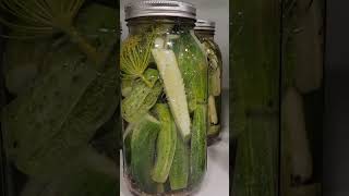 The Best Crunchy Pickles  How to Make Crunchy Pickles [upl. by Antin700]