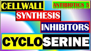 Cycloserine Antibiotics Pharmacology Mechanisms Actions Resistance Part 5 [upl. by Legyn]