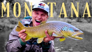 one summer fly fishing in Montana [upl. by Ylagam]