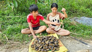 A homeless boy and a poor girl cut bamboo and wild snails to sell and buy food  Homeless Boy [upl. by Bolan]