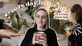 cozy plant vlog 🪴 repotting dusting propagating amp more [upl. by Othella408]