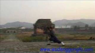 Wudang Xuangongquan 1  Master Yuan Xiu Gang [upl. by Kelsey217]