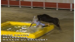 TORO PISCINE BELLEGARDE 06082016 [upl. by Miche]