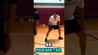 99 PERIMETER IRL 😭 basketball nba2k25 shorts [upl. by Nylrehs]