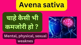 Avena Sativa The Homeopathic Remedy for Anxiety amp Stress [upl. by Floridia]