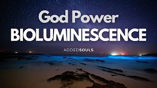 God Power Bioluminescence [upl. by Annyahs]